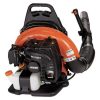 ECHO PB-755SH/ST 63.3cc Backpack Leaf Blower