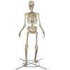 12 FT Giant-Sized Skelly with LifeEyes LCD Eyes