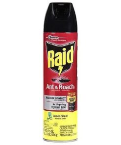 Raid® Ant & Roach Killer 26 Fresh Scent oz