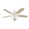 Hunter Amberlin 52 LED Amberlin 52 Blade LED Indoor Ceiling Fan